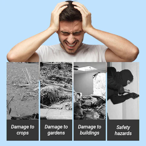 Alarme solaire à détecteur de mouvement pour intérieur et extérieur (GNF)