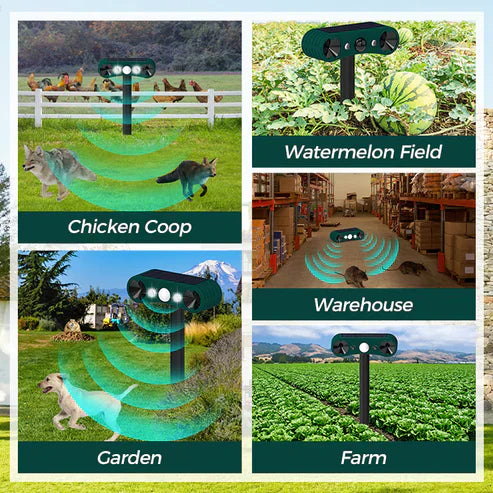 Alarme solaire à détecteur de mouvement pour intérieur et extérieur (GNF)