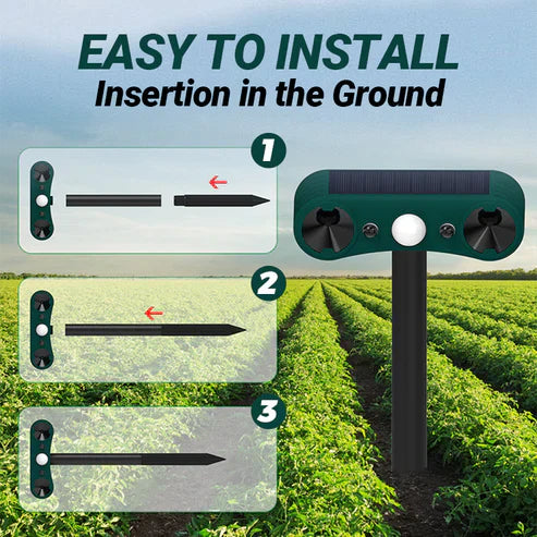 Alarme solaire à détecteur de mouvement pour intérieur et extérieur (GNF)